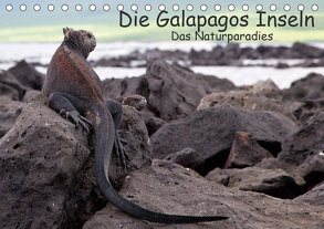 Die Galapagos Inseln – Das Naturparadies (Tischkalender 2020 DIN A5 quer) von Akrema-Photography, Neetze