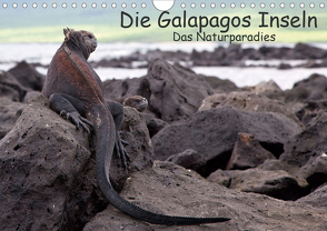 Die Galapagos Inseln – Das Naturparadies (Wandkalender 2020 DIN A4 quer) von Akrema-Photography, Neetze