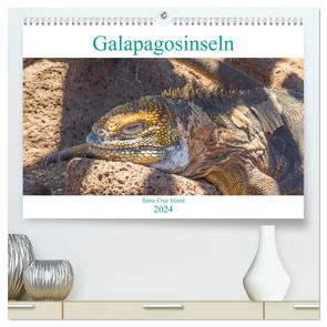 Die Galapagosinseln – Santa Cruz Island (hochwertiger Premium Wandkalender 2024 DIN A2 quer), Kunstdruck in Hochglanz von pixs:sell,  pixs:sell