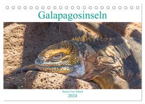 Die Galapagosinseln – Santa Cruz Island (Tischkalender 2024 DIN A5 quer), CALVENDO Monatskalender von pixs:sell,  pixs:sell