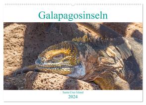 Die Galapagosinseln – Santa Cruz Island (Wandkalender 2024 DIN A2 quer), CALVENDO Monatskalender von pixs:sell,  pixs:sell