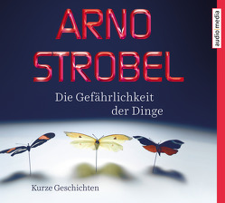 Die Gefährlichkeit der Dinge von Otto,  Götz, Strobel,  Arno