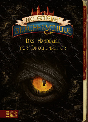 Die geheime Drachenschule – Das Handbuch für Drachenreiter von Nöldner,  Pascal, Skye,  Emily