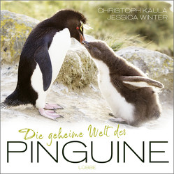 Die geheime Welt der Pinguine von Kaula,  Christoph, Winter,  Jessica