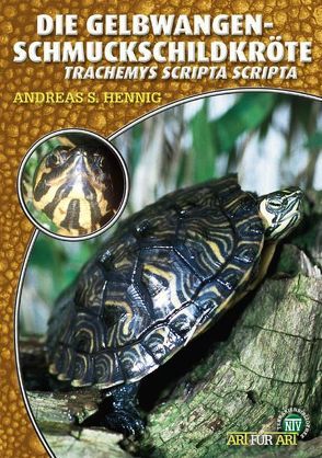 Die Gelbwangen-Schmuckschildkröte von Hennig,  Andreas S.