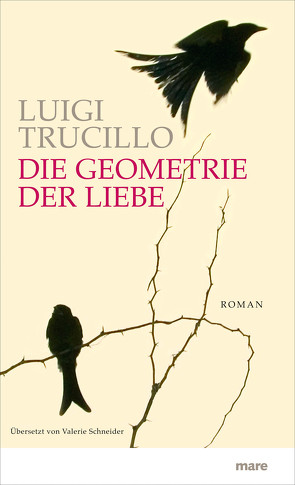 Die Geometrie der Liebe von Schneider,  Valerie, Trucillo,  Luigi