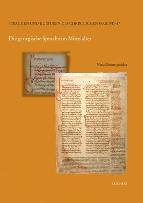 Die georgische Sprache im Mittelalter von Doborjginidze,  Nino