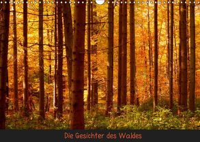 Die Gesichter des Waldes (Wandkalender 2019 DIN A3 quer) von kattobello