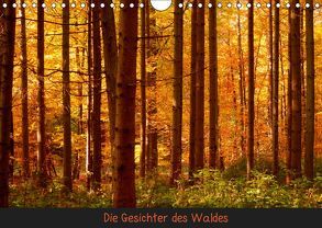 Die Gesichter des Waldes (Wandkalender 2019 DIN A4 quer) von kattobello