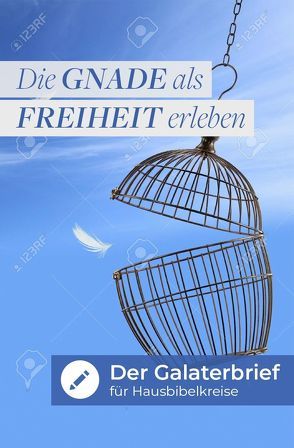 Die Gnade als Freiheit erleben von Powilleit,  Thomas