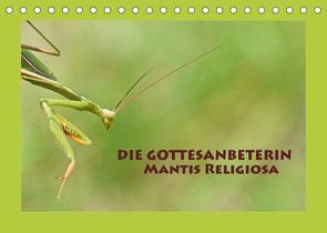 Die Gottesanbeterin Mantis Religiosa (Tischkalender 2023 DIN A5 quer) von GUGIGEI