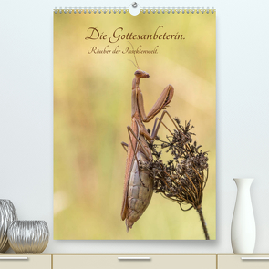Die Gottesanbeterin. Räuber der Insektenwelt. (Premium, hochwertiger DIN A2 Wandkalender 2023, Kunstdruck in Hochglanz) von juehust
