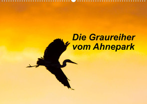 Die Graureiher vom Ahnepark (Wandkalender 2022 DIN A2 quer) von Martin,  Wilfried