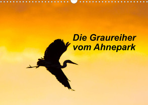 Die Graureiher vom Ahnepark (Wandkalender 2022 DIN A3 quer) von Martin,  Wilfried