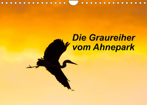 Die Graureiher vom Ahnepark (Wandkalender 2022 DIN A4 quer) von Martin,  Wilfried