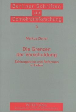 Die Grenzen der Verschuldung von Ziener,  Markus