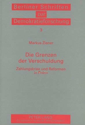 Die Grenzen der Verschuldung von Ziener,  Markus