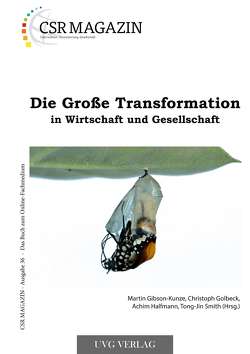 Die Große Transformation in Wirtschaft und Gesellschaft von Gibson-Kunze,  Martin, Golbeck,  Christoph, Halfmann,  Achim, Smith,  Tong-Jin