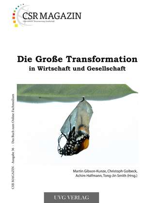 Die Große Transformation in Wirtschaft und Gesellschaft von Gibson-Kunze,  Martin, Golbeck,  Christoph, Halfmann,  Achim, Smith,  Tong-Jin