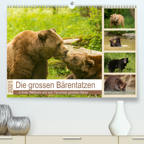 Die grossen Bärentatzen (Premium, hochwertiger DIN A2 Wandkalender 2021, Kunstdruck in Hochglanz) von Photo4emotion.com