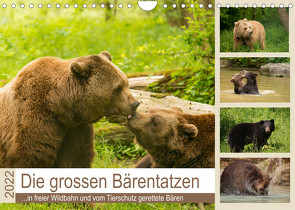 Die grossen Bärentatzen (Wandkalender 2022 DIN A4 quer) von Photo4emotion.com