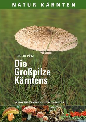 Die Großpilze Kärntens von Pötz,  Herbert