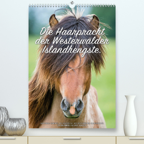 Die Haarpracht der Islandhengste. (Premium, hochwertiger DIN A2 Wandkalender 2022, Kunstdruck in Hochglanz) von Gerlach,  Ingo