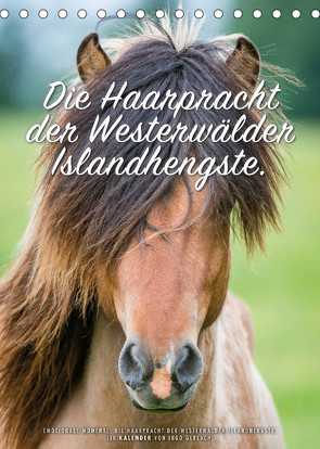 Die Haarpracht der Islandhengste. (Tischkalender 2022 DIN A5 hoch) von Gerlach,  Ingo