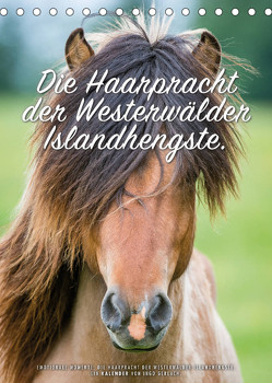 Die Haarpracht der Islandhengste. (Tischkalender 2023 DIN A5 hoch) von Gerlach,  Ingo