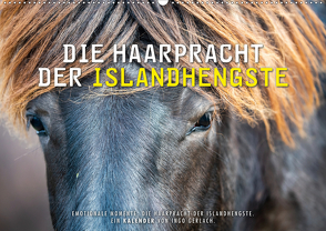 Die Haarpracht der Islandhengste. (Wandkalender 2021 DIN A2 quer) von Gerlach,  Ingo