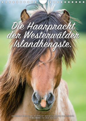 Die Haarpracht der Islandhengste. (Wandkalender 2021 DIN A4 hoch) von Gerlach,  Ingo