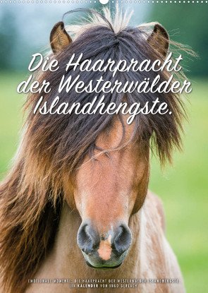 Die Haarpracht der Islandhengste. (Wandkalender 2022 DIN A2 hoch) von Gerlach,  Ingo