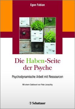 Die „Haben“-Seite der Psyche von Fabian,  Egon, Joraschky,  Peter