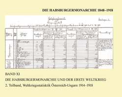 Die Habsburgermonarchie 1848-1918 / Die Habsburgermonarchie 1848-1918 Band XI/2: Die Habsburgermonarchie und der Erste Weltkrieg, 2. Teilband von Rumpler,  Helmut, Schmied-Kowarzik,  Anatol