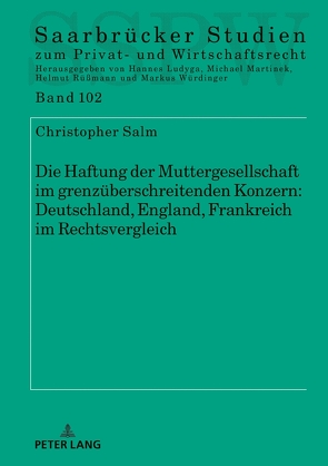 Die Haftung der Muttergesellschaft im grenzüberschreitenden Konzern: Deutschland, England, Frankreich im Rechtsvergleich von Salm,  Christopher