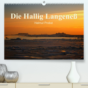 Die Hallig Langeneß / CH-Version (Premium, hochwertiger DIN A2 Wandkalender 2023, Kunstdruck in Hochglanz) von Probst,  Helmut