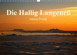 Die Hallig Langeneß / CH-Version (Wandkalender 2023 DIN A3 quer) von Probst,  Helmut