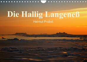 Die Hallig Langeneß / CH-Version (Wandkalender 2023 DIN A4 quer) von Probst,  Helmut