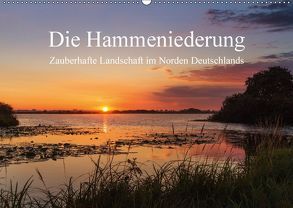 Die Hammeniederung – Zauberhafte Landschaft in Norden Deutschlands (Wandkalender 2018 DIN A2 quer) von Hömske,  Michael