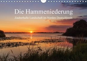 Die Hammeniederung – Zauberhafte Landschaft in Norden Deutschlands (Wandkalender 2018 DIN A4 quer) von Hömske,  Michael