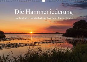 Die Hammeniederung – Zauberhafte Landschaft in Norden Deutschlands (Wandkalender 2019 DIN A3 quer) von Hömske,  Michael