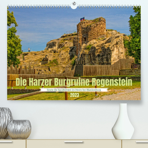 Die Harzer Burgruine Regenstein – Sowie die Sandhöhlen im Heers bei Blankenburg (Premium, hochwertiger DIN A2 Wandkalender 2023, Kunstdruck in Hochglanz) von Felix,  Holger