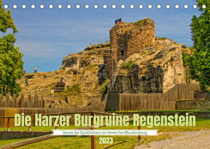 Die Harzer Burgruine Regenstein – Sowie die Sandhöhlen im Heers bei Blankenburg (Tischkalender 2023 DIN A5 quer) von Felix,  Holger