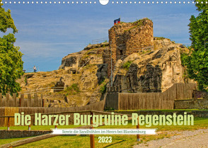 Die Harzer Burgruine Regenstein – Sowie die Sandhöhlen im Heers bei Blankenburg (Wandkalender 2023 DIN A3 quer) von Felix,  Holger