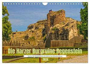 Die Harzer Burgruine Regenstein – Sowie die Sandhöhlen im Heers bei Blankenburg (Wandkalender 2024 DIN A4 quer), CALVENDO Monatskalender von Felix,  Holger