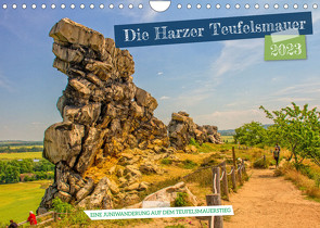 Die Harzer Teufelsmauer – Eine Juniwanderung auf dem Teufelsmauerstieg (Wandkalender 2023 DIN A4 quer) von Felix,  Holger