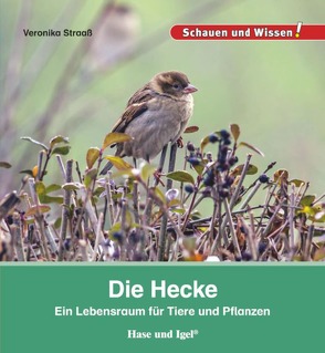 Die Hecke von Straaß,  Veronika