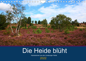 Die Heide blüht (Wandkalender 2022 DIN A4 quer) von Dürr,  Brigitte