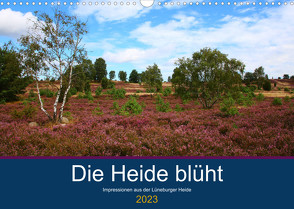 Die Heide blüht (Wandkalender 2023 DIN A3 quer) von Dürr,  Brigitte