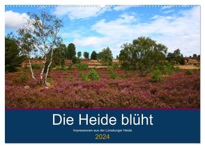 Die Heide blüht (Wandkalender 2024 DIN A2 quer), CALVENDO Monatskalender von Dürr,  Brigitte